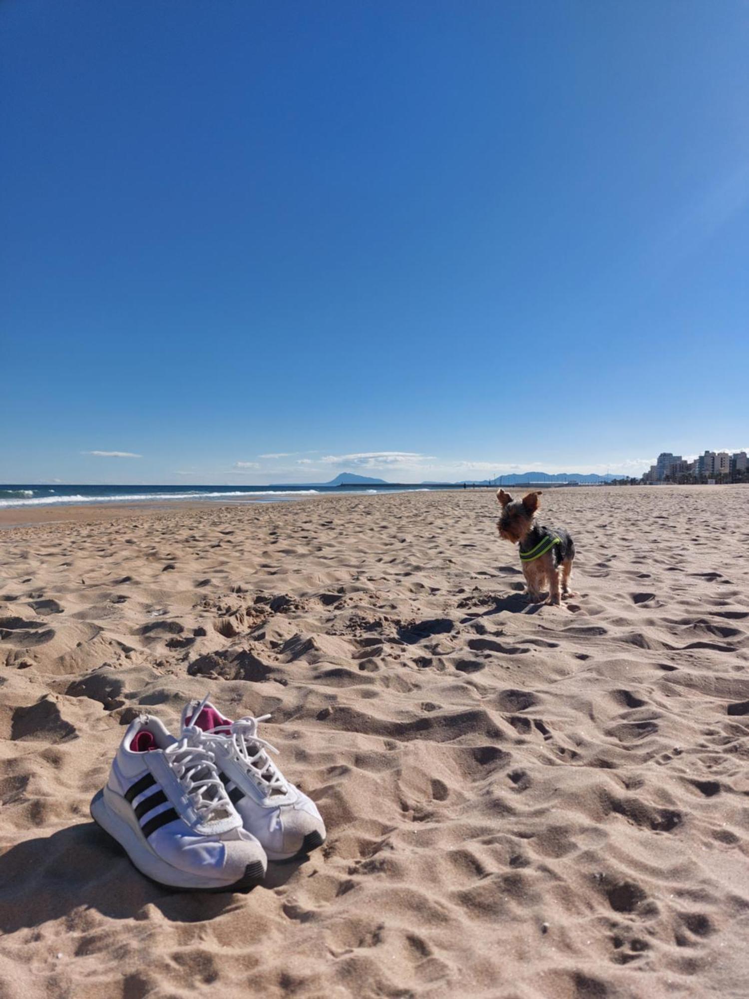 Precioso Apartamento En Gandia Playa de Gandia Екстер'єр фото